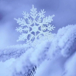 这里只有精品在线视频
