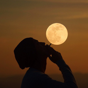 这里只有精品在线视频
