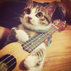 这里只有精品在线视频
